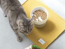 【猫グッズ人気ランキング】みんなが選んだ猫アイテムはどれ？bon moment catベスト５を発表！