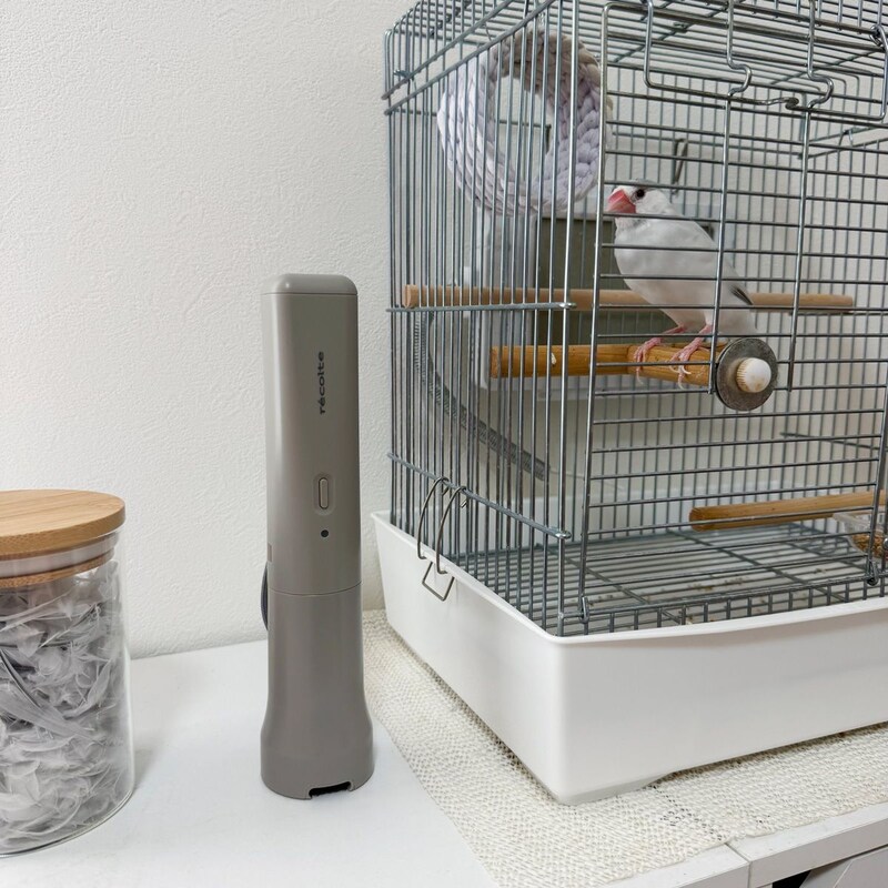 文鳥との暮らしで増えた掃除の悩みを解決。気づいた時にサッと使えるコードレススポットクリーナー
