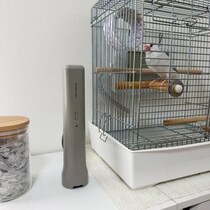 文鳥との暮らしで増えた掃除の悩みを解決。気づいた時にサッと使えるコードレススポットクリーナー