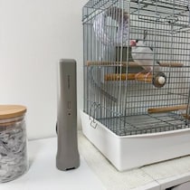文鳥との暮らしで増えた掃除の悩みを解決。気づいた時にサッと使えるコードレススポットクリーナー