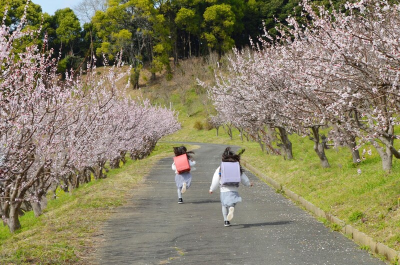 春からの進級・進学に備えよう!働き方のチェックリスト