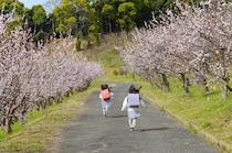春からの進級・進学に備えよう！働き方のチェックリスト