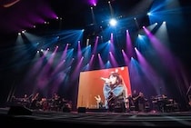ZARD35周年記念ライブより、デビュー日に当たる2月10日に行なわれた東京国際フォーラム公演の模様を、いよいよ3月20日（金・祝）にWOWOWで独占放送・配信！