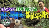 ガクテンソク・奥田修二が青木ヶ原樹海の都市伝説を調査　『世界の何だコレ!?ミステリー』7月29日放送