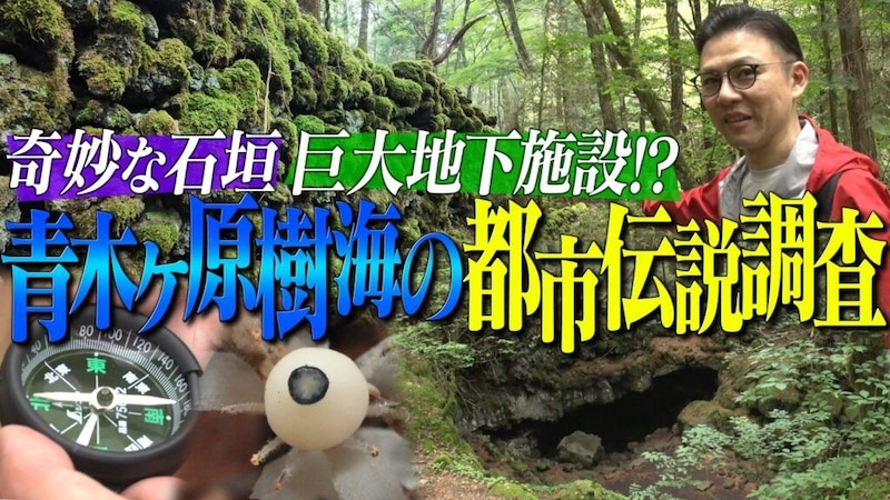 ガクテンソク・奥田修二が青木ヶ原樹海の都市伝説を調査 『世界の何だコレ!?ミステリー』7月29日放送