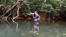 『クレイジージャーニー』SPで野村哲也が西表島“一夜限りの花園”に挑む　丸山ゴンザレスはガラパゴス諸島の闇を追う