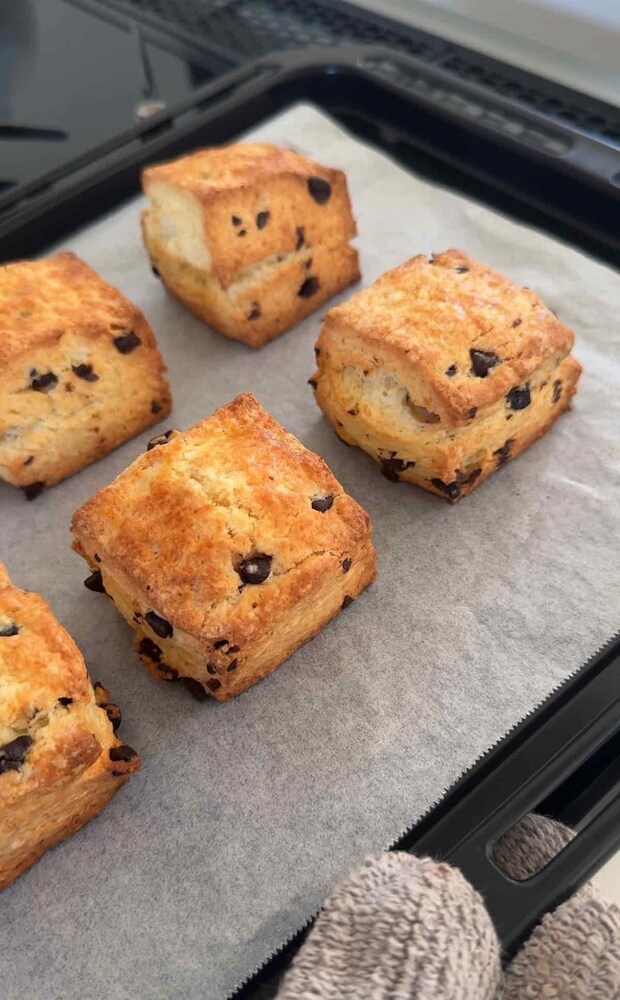 チョコチップスコーン