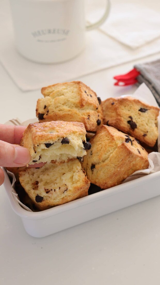 チョコチップスコーン