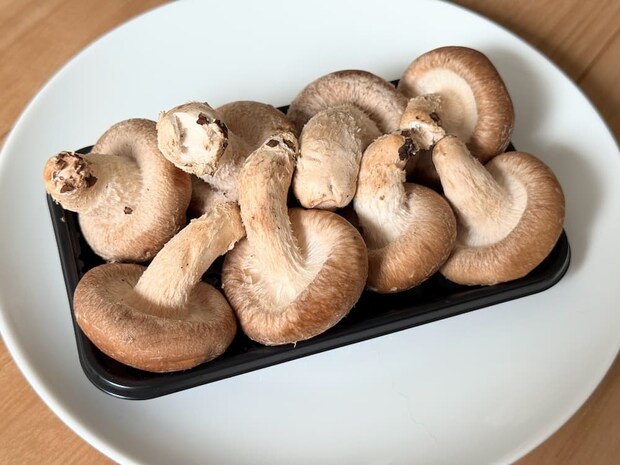 おいしい椎茸の選び方