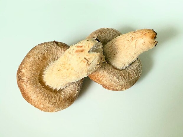 かさが開きすぎていない