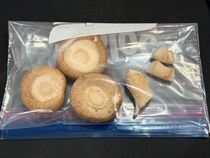 「しいたけ」を使い切れない場合はコレ！“おすすめの保存方法”を八百屋が直伝