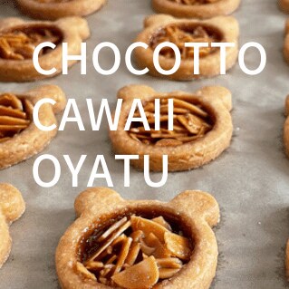 chiyoさんアイコン画像