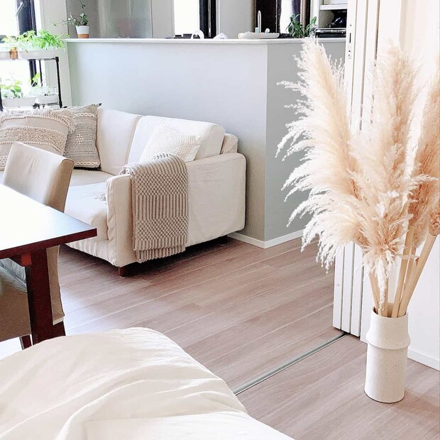 パンパスグラス