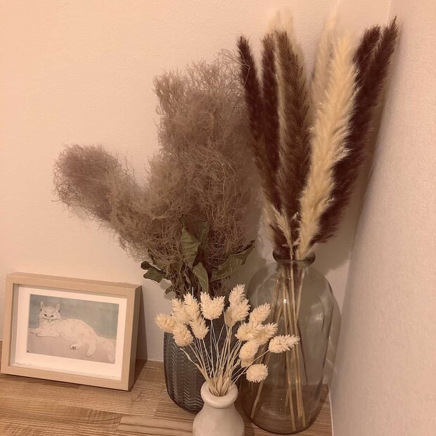 パンパスグラス３