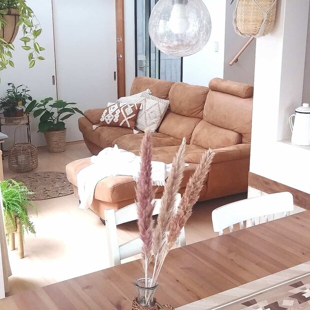 パンパスグラス４