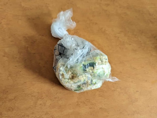 ダイソー 自立する水切りゴミ袋 使用例