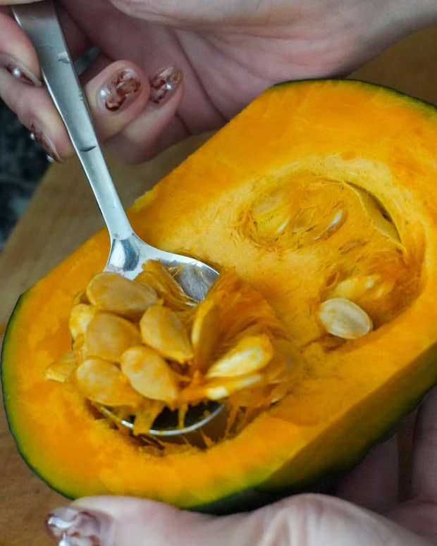かぼちゃのタネをとる