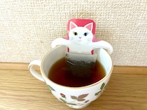 まるで猫がお風呂に浸かっているよう♪カルディ「ニャンティ」がかわいすぎる！