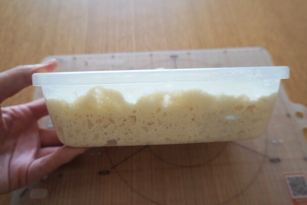 ウインナー発酵後