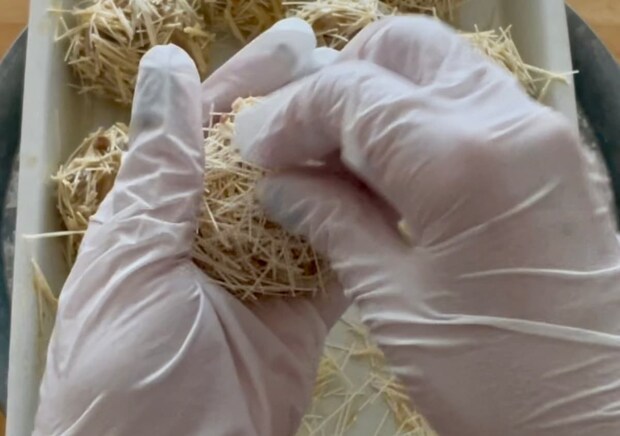 いがぐりコロッケ