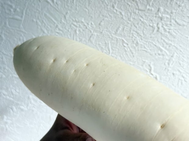 ひげ根の毛穴が浅く少ないものを選ぶ