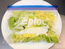 「白菜」は冷凍するとおいしくなる？黒い斑点って？アレコレを八百屋が直伝