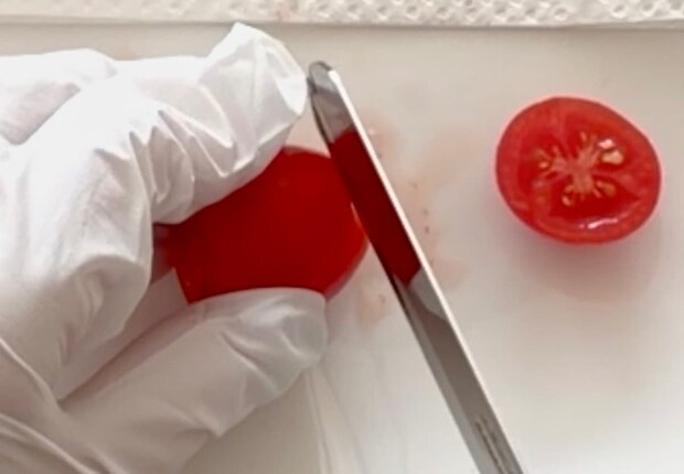 ミニトマサンタ