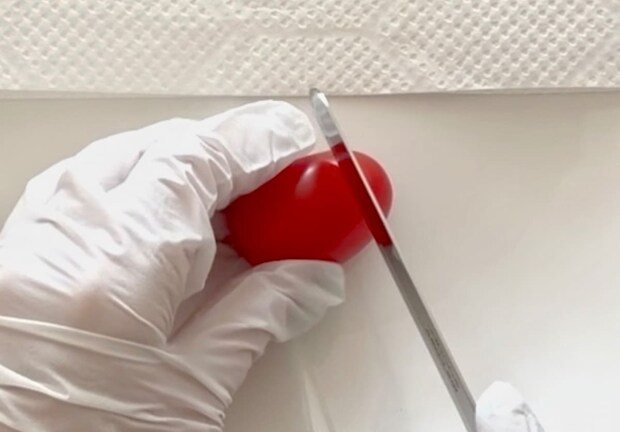 ミニトマサンタ