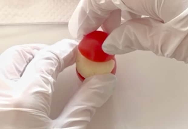 ミニトマサンタ