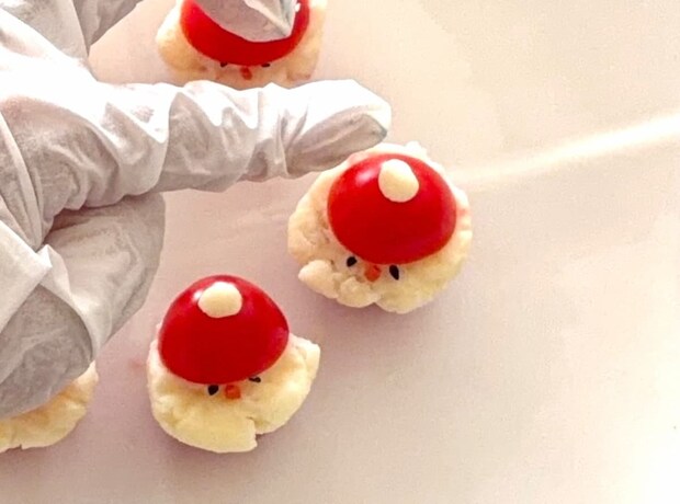 ミニトマサンタ