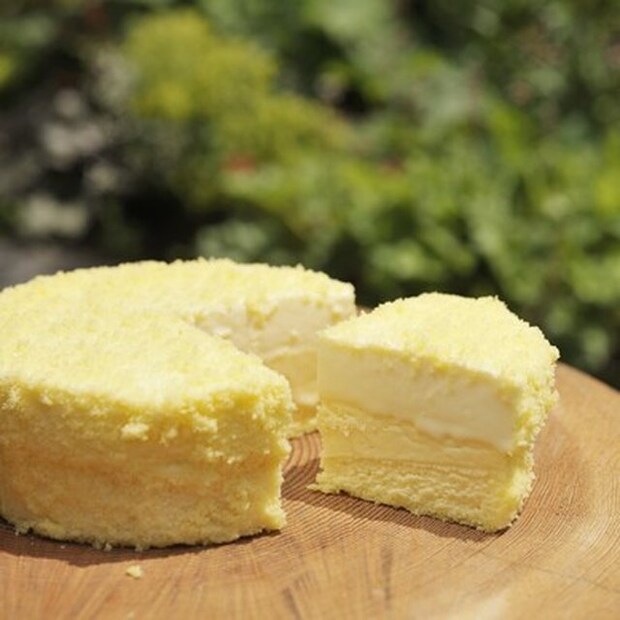「何度食べても飽きない!」「計算されたおいしさ」口コミで絶賛の二層チーズケーキ