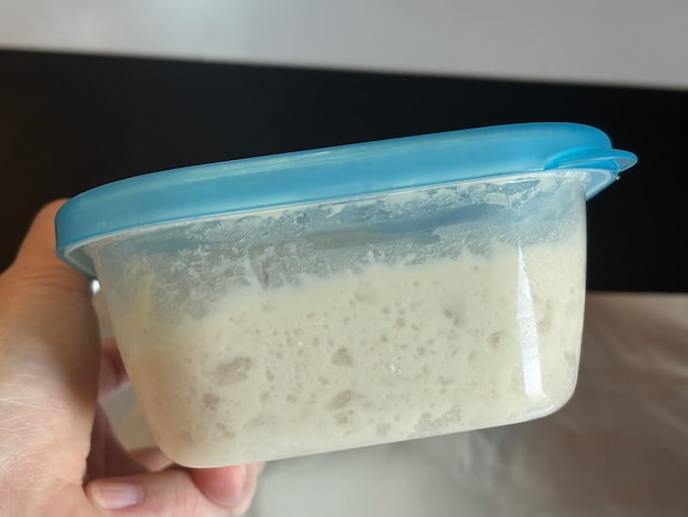 ミルクちぎり発酵後