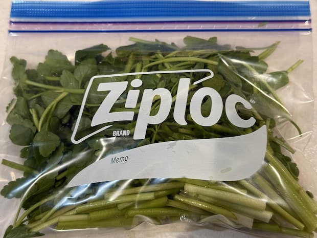 人気上昇中の「せり」は冷凍保存できる？おいしい食べ方は？八百屋が解説