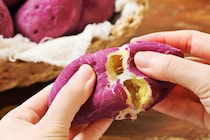 思わず二度見！さつまいもにそっくりな「コグマパン」が“もちホク”食感で大人気！