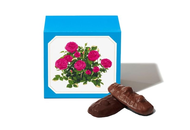 ショコラサブレ 8枚入/ルル メリー