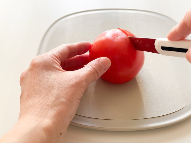 テーブルナイフ/ARCOS アルコス