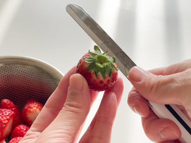 テーブルナイフ／ARCOS アルコス