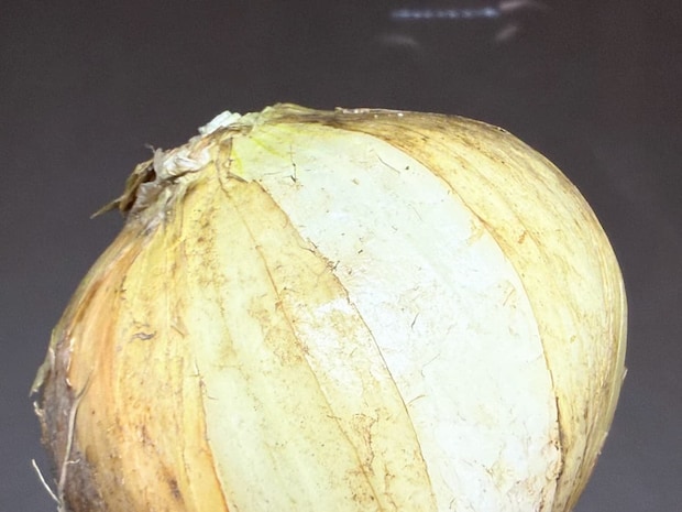 新玉ねぎは表面の状態を見て選ぶ