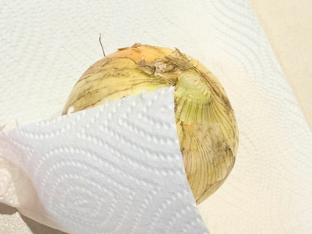 新玉ねぎを1つずつキッチンペーパーで包む