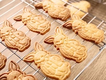 初心者さんにもおすすめ！失敗しにくい基本の「サクサクプレーンクッキー」