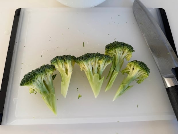 同じくらいの大きさ