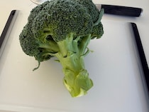 ブロッコリーの茎、どう食べる？筋っぽくならない選び方や切り方のコツ