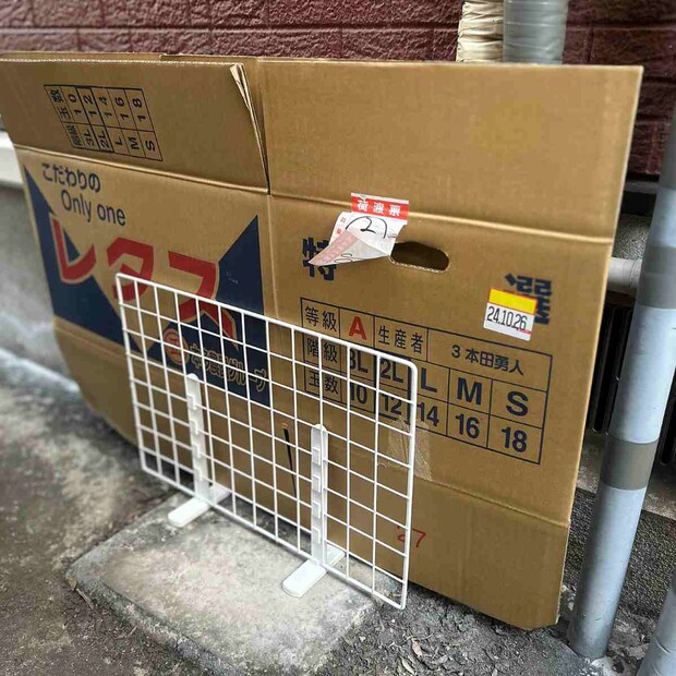 ダンボール5