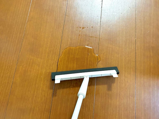 ラバーほうき１３