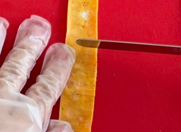 薄焼き卵たんぽぽ