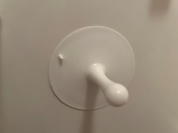 スポンジ10