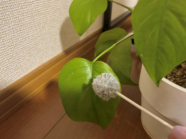 はたき7