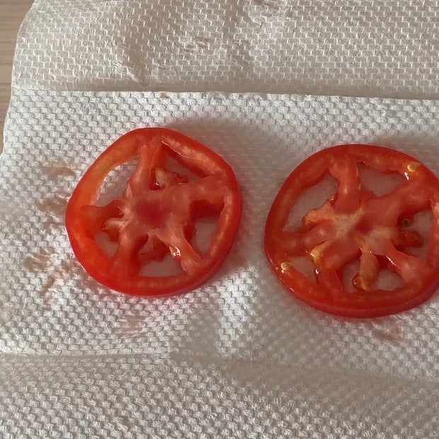 目玉焼き入りズッキーニとトマトのホットサンド