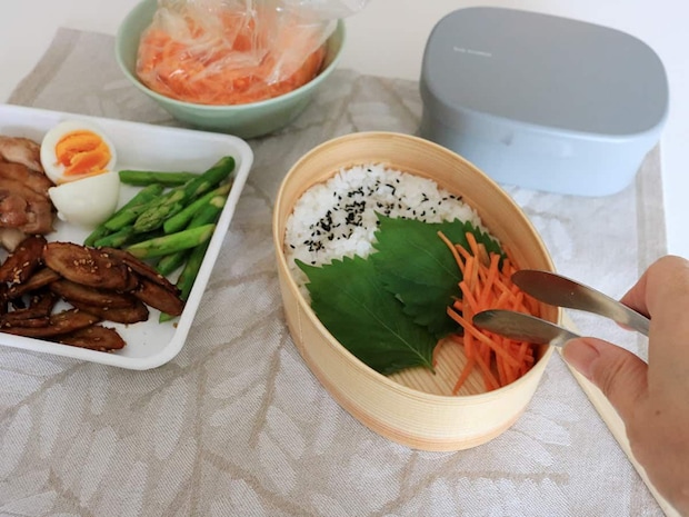 電子レンジ・食洗機が使える ほんとうに使いやすい 曲げわっぱ お弁当箱 ランチボックス 600ml/かのりゅう