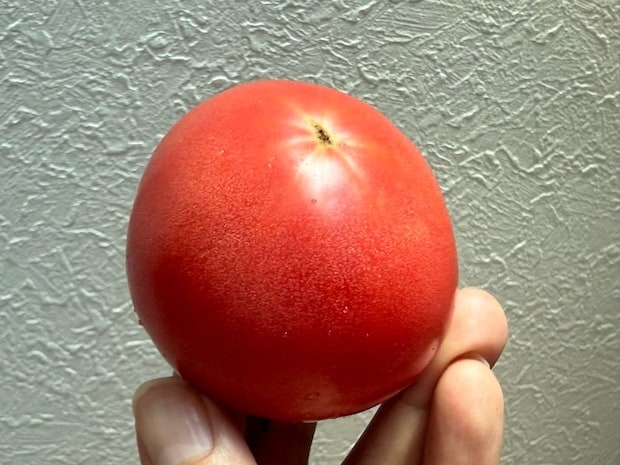 トマトの豆知識